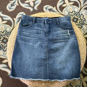 Democracy Jean skirt